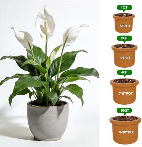 Premium Peace Lily Potting Soil 10qt– All Natural, Well-Draining & Breathable Soil for Peace Lily & Indoor Plants - Image 7