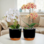 QCQHDU 2 Pack 7.2 Inch Orchid Pots with Holes for Repotting, Double-Layer and Self Watering Orchid Pot with Good Air Circulation - Image 5