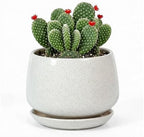 7.5 Inch Flower pots for Indoor Outdoor Plants with Saucer Drainage Leak-Proof Mesh, Ceramic Planter with Gardening Gloves for Succulent and Flower(Matte White) by Unknown