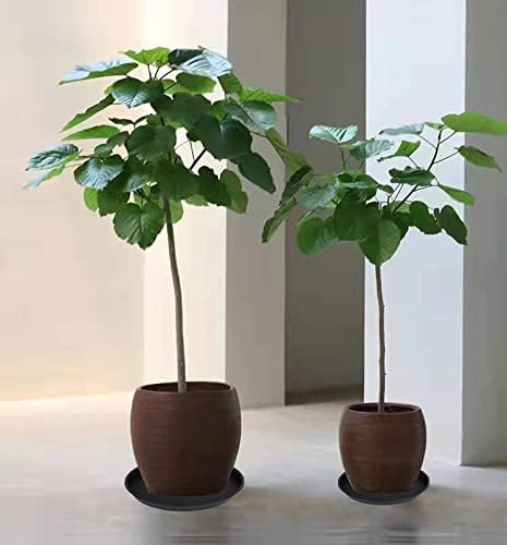 2 Pack of 16 17 inch Plant Saucer (15 inch Base), 2.3" Depth, Plant Trays for Pots, Plastic Plant Saucers for Indoors, Bird Bath Bowls, Flower Pot Drip Trays for Planter (17", Black) - Image 4