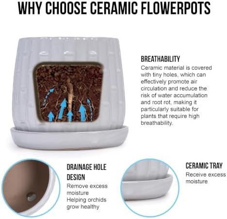 Decorative Ceramic Planter Set of 2, 6" & 8" Diameter, Modern Flower Pots for Indoor Plants, w/Drainage and Saucer, Ceramic Pots for Garden & Home Decor, White - Image 4