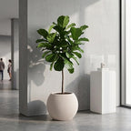 16" Sphere Fluted Outdoor Planter, Off-White,Modern Round Plant Pot - Image 2