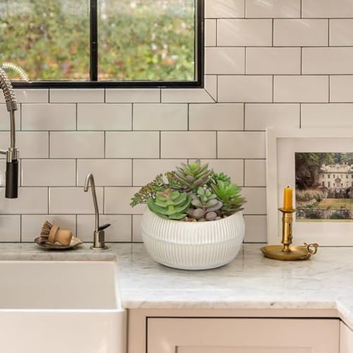 DILATATA Artificial Succulent Plants in Pot 5.5 Inch Fake Succulents Arrangement Potted Plant in White Ceramic Planter Bowl for Home Office Desk Shelf Living Room Bedroom Bathroom Decor - Image 5