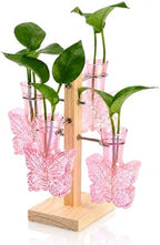 Nacome Plant Terrarium Propagation Stations: Pink Vase with Wooden Stand by Nacome