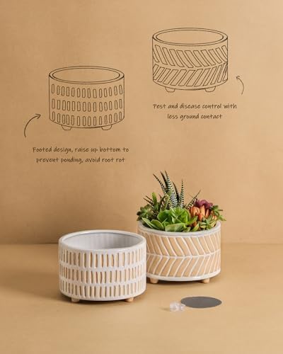 Fayoula Succulent Pots, 6 Inch Planters with Drainage Hole, Modern Indoor Plant Pots for Succulents, Herbs, Aloe, Snake Plant - Ceramic Home Décor, Set of 2 - Image 3