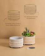 Fayoula Succulent Pots, 6 Inch Planters with Drainage Hole, Modern Indoor Plant Pots for Succulents, Herbs, Aloe, Snake Plant - Ceramic Home Décor, Set of 2 - Image 3
