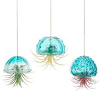 Glasseam Glass Jellyfish Decor, 3 Pcs Hanging Air Plant Holders with Jute by Glasseam