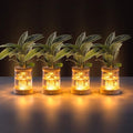 Plant Propagation Station with Wooden Saucer, Glass Terrarium with Dimmable Function Hydroponic Container Vase Jars Gardening Gifts for Mom Women Plant Lovers(4 Pack) by WelcometoEverkeen