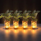 Plant Propagation Station with Wooden Saucer, Glass Terrarium with Dimmable Function Hydroponic Container Vase Jars Gardening Gifts for Mom Women Plant Lovers(4 Pack) by WelcometoEverkeen