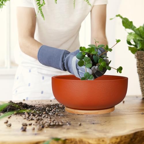 SQOWL 10 Inch Large Terracotta Planter Pot,Clay Succulent Bonsai Planter with Drainage Hole and Bamboo Saucer for Indoor Plants - Image 3