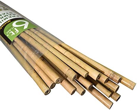 Mininfa Natural Bamboo Stakes 6 Feet, Eco-Friendly Garden Stakes, Plant Stakes Supports Climbing for Tomatoes, Trees, Beans, 20 Pack by Mininfa