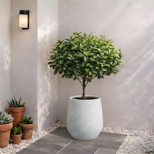 KUTE NEST 12" Ribbed Corso Fiberstone Outdoor Planter - Speckled White - Image 2