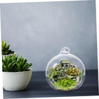 Xmas Hanging Globe Bottle 12pcs Glass Globe Terrarium for Plants - Image 4