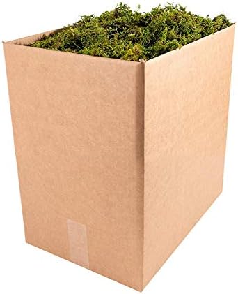 SuperMoss (21705 Forest Moss Dried, Natural, 5lbs by SuperMoss