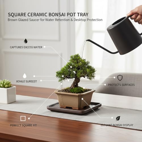Square Ceramic Bonsai Pot Tray - Brown Glazed Saucer for Water Retention & Desk Protection, Solid Clay Base for Indoor Plant Displays - Image 4