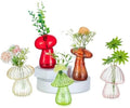 Glasseam Mushroom Plant Propagation Station, Set of 5 Glass Terrarium Jars by Glasseam
