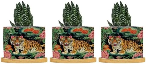 Chinoiserie Tiger Ceramic Planters Green and Turquoise Tiger Stripe Snake Plant Live Indoor with Pot with Drainage Holes and Saucers Pot for Home Office Desk Garden by BRUYU5SE