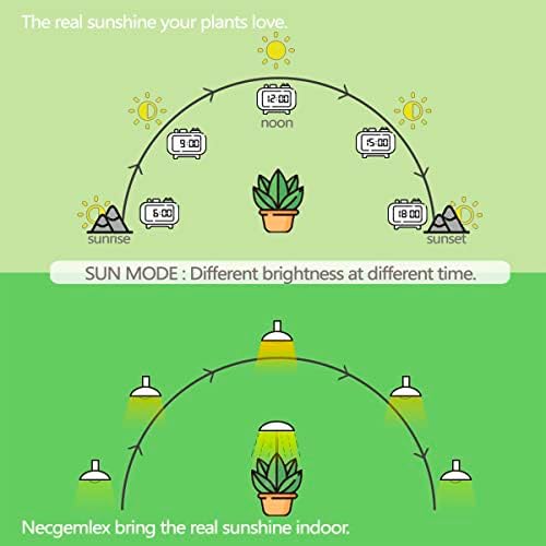 Smart Grow Light Bulbs for Indoor Plants, Programmable Timer and Dim - Image 3