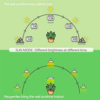 Smart Grow Light Bulbs for Indoor Plants, Programmable Timer and Dim - Image 3