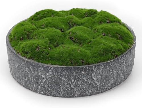 NAHARO New Moss Bowl,11''Handmade Cement Bowl–Artificial Moss Centerpiece for Home Decoration, Living Room, Office, or Coffee Table Display by NAHARO