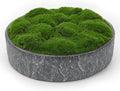 NAHARO New Moss Bowl,11''Handmade Cement Bowl–Artificial Moss Centerpiece for Home Decoration, Living Room, Office, or Coffee Table Display by NAHARO