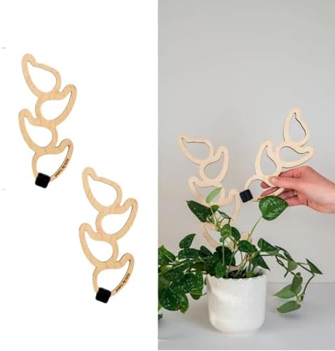 Treleaf Kora Extendable Wooden Plant Trellis Extension Kit (2 Extensions) – Modular Plant Support Add-On for Climbing Houseplants, Moss Pole Alternative for Monstera & Indoor Plants by TRELEAF