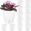 Self-Watering Pots for Indoor Plants, 12-Pack 5'' Self Watering Planter with Drainage Holes, Small African Violet Pots with Water Indicator, Clear Wick Pot, White by KvyusFlourish
