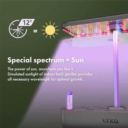Hydroponics Growing System, 12 Pods Indoor Herb Garden Kit w/Full-Spectrum 36W Grow Light, Indoor Herb Garden Automatic Timer, Height Adjustable 3.5L Water Tank, Gifts for Men Women (Grey) - Image 5