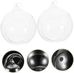 2pcs Glass Globe Hanging Terrarium Vase for Plants - Image 5