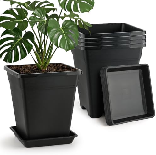 BTPLASTIK Plant Pots 10 Inch Set of 5, Large Square Plastic Planter with Drainage & Saucer, 5 Gallon Thick Outdoor Garden Pots Container for Outdoor Indoor, Flower Pots Planters by BTPLASTIK