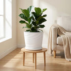 8 Inch Ceramic Plant Pot, White - Image 5