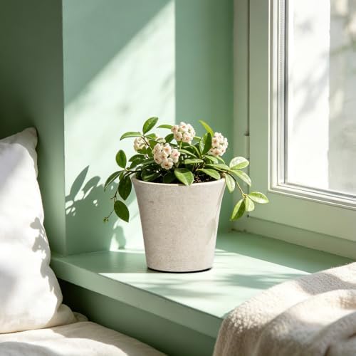 6 Inch Resin Plant Pots with Drainage Hole cone Decorative Flower Planter - Image 5