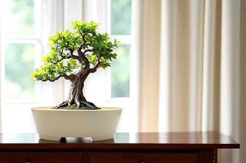 Ceramic Bonsai Pot, Beige, Oval Shaped Planter with Drainage Holes, 9 x 7 Inches x 3 inches high by Unknown