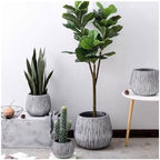 Flowerpot, Fibreglass Flower Pot with Drainage Holes for Indoor and Outdoor Large Calibre - Image 6