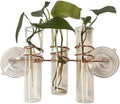 3 Lily Window Plant Propagator- Window Propagation Station with Removable Glass Test Tubes for Indoor Clippings, Cut Flowers, Herbs, Succulents | Home Decor | Plant Lover Gift (3 Lily) by SWEETFEEDERS