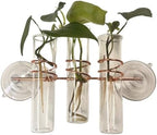 3 Lily Window Plant Propagator- Window Propagation Station with Removable Glass Test Tubes for Indoor Clippings, Cut Flowers, Herbs, Succulents | Home Decor | Plant Lover Gift (3 Lily) by SWEETFEEDERS