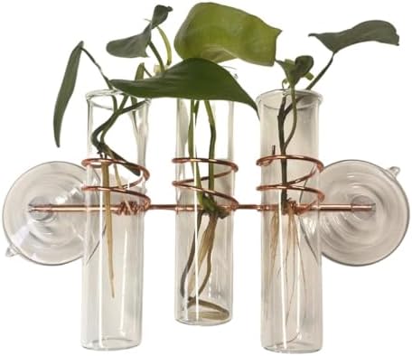 3 Lily Window Plant Propagator- Window Propagation Station with Removable Glass Test Tubes for Indoor Clippings, Cut Flowers, Herbs, Succulents | Home Decor | Plant Lover Gift (3 Lily) by SWEETFEEDERS