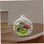 12pcs Globe Glass Terrarium Hanging Plant Planter for Micro Landscapes - Image 6
