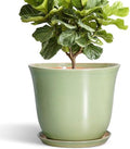 Ceramic Planter, 12 Inch Plant Pot for Indoor Plants, Green by SUNPOTFOR