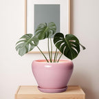 Ceramicfor 10 Inch Plant Pot - Ceramic Planter for Indoor Plants, Glaze Modern Round Planter with Drainage Hole and Saucer, Gifts for Plant Lovers, Office Patio Home Room Decor, Pink - Image 7