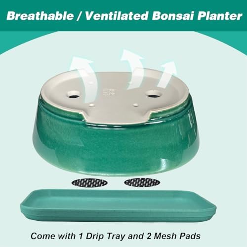 MUZHI 2pcs Green Ceramic Bonsai Planter Pots with Bamboo Tray 6.2 “ & 5.3”, Rectangular Glazed Bonsai & Succulent Cactus Starter Pot with Drainage Ice Crack Design (Crackle Glazed 9") - Image 4