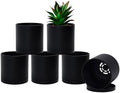 D'vine Dev 6-Pack Black Plastic Planters with Saucers, 4 in, 74-Y-E-3 by DvineDevPlanterPotsandStand