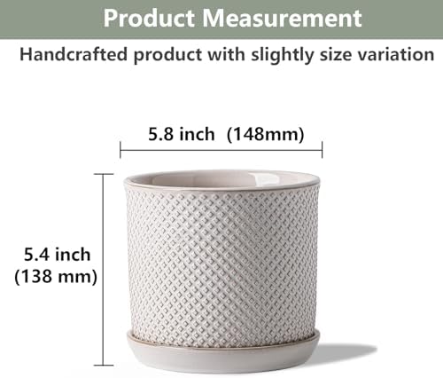 5.8 Inch Ceramic Plant Pot with Drainage Hole & Separate Saucer - Image 2