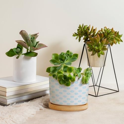 Timur in Blue Background Ceramic Planters Geometric Modern Planters for Outdoor Plants with Drainage Holes and Saucers Pot for Pots Outdoor Indoor Plants - Image 4
