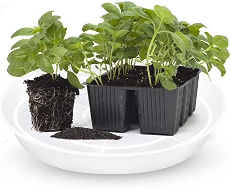 OUPSAUI Plant Saucer Pot Tray, 6 Pack Clear Plant Saucers for Indoors, Large Plastic Dish Suacer Water Drip Tray for Potted Plants Flowers (20 Inches) - Image 4