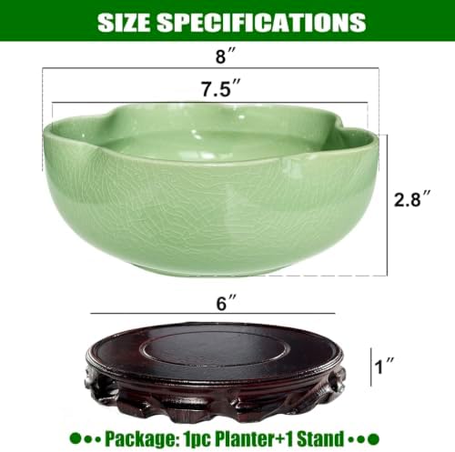 MUZHI Lotus Flower Bowl Planter for Water Lily Seeds 8", Elegant Hole-Free Ice Crack Hydroponic Pink Lotus Plant Bowl Pot with Stand - Image 2