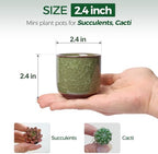 T4U Mini Succulent Pots, Small Ceramic Planters, Retro Gift Set of 12 - Image 2