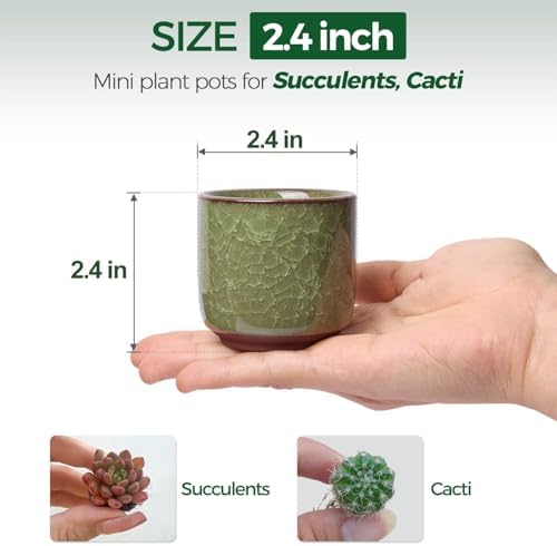 T4U Mini Succulent Pots, Small Ceramic Planters, Retro Gift Set of 12 - Image 2