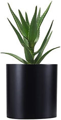 FaithLand 8 Inch Fiberstone Planter - Lightweight Modern Cylinder Plant Pot with Drainage Hole & Plug, Indoor Outdoor Use, Matte Black by FaithLand