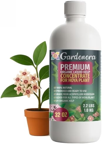 GARDENERA Premium Organic Seaweed & Kelp Superfood for Hoya Plants - 32 oz - Liquid Kelp Fertilizer Concentrate (Makes 180 Gallons) by Gardenera
